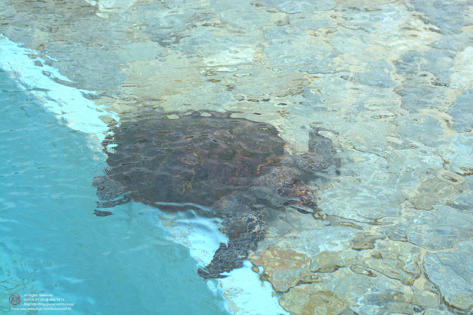 DSC_3119.jpg